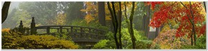 Wooden Bridge at Japanese Garden in Autumn Panorama
