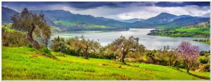 Sunny morning panorama of the lake Rosamarina