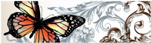 Vector backgrounds set with butterflies