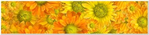 Yellow flowers background
