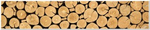 Texture of cut timber logs